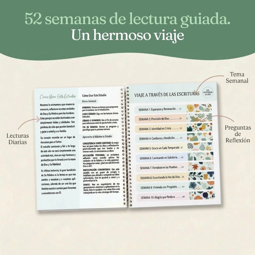 La Biblia en un año - 52 semanas en la Palabra de Dios