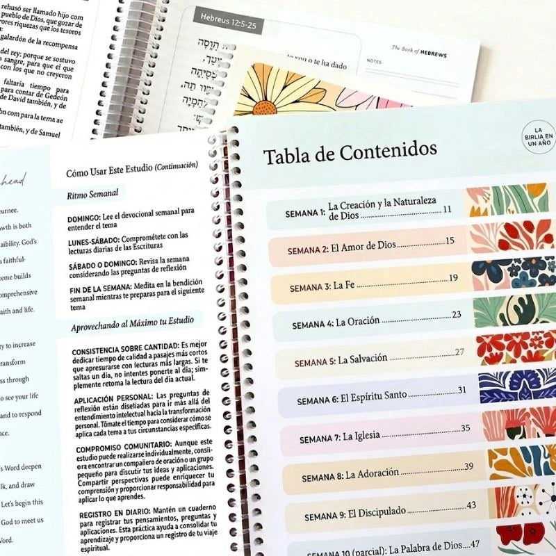 La Biblia en un año - 52 semanas en la Palabra de Dios