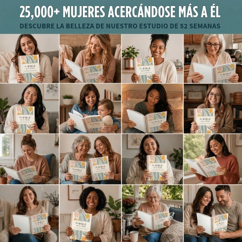 Usuarios utilizando la guía de lectura